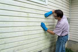 Best Insulated Siding Installation  in Marion, TX